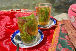 From Marrakech: Atlas Mountains Day Trip with Camel Ride