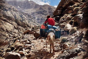 From Marrakech: Atlas Mountains Day Trip with Camel Ride