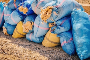 From Marrakech: Atlas Mountains Day Trip with Camel Ride