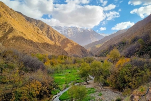 From Marrakech: Atlas Mountains Full-Day Hiking Trip w Lunch
