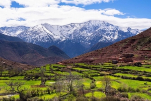From Marrakech: Atlas Mountains Full-Day Hiking Trip