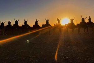 From Marrakech: Atlas Mountains Full-Day Hiking Trip