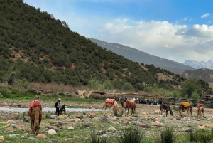 From Marrakech: Atlas Mountains Full-Day Hiking Trip