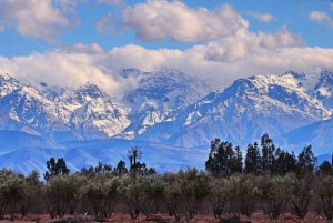 From Marrakech: Atlas Mountains Full-Day Hiking Trip