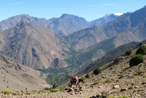 From Marrakech: Atlas Mountains Full-Day Hiking Trip