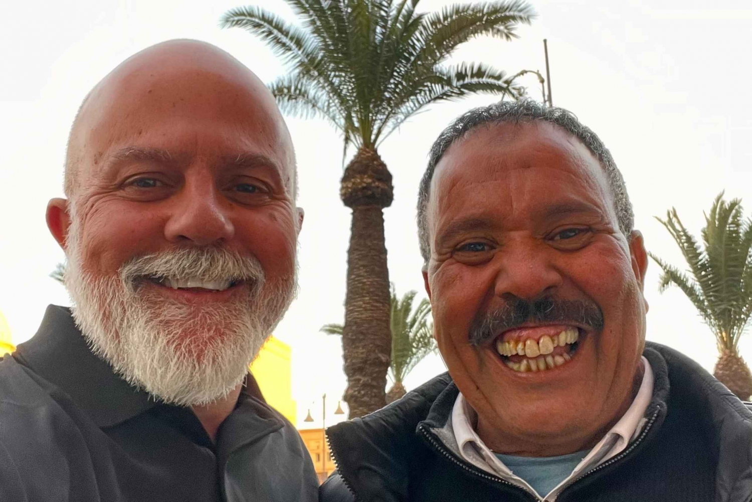 Wycieczka 1-dniowa w góry Atlas z wodospadami i 3 dolinami