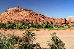 From Marrakech: Day Trip to Ouarzazate and Ait Benhaddou
