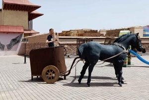 From Marrakech: Day Trip to Ouarzazate and Ait Benhaddou