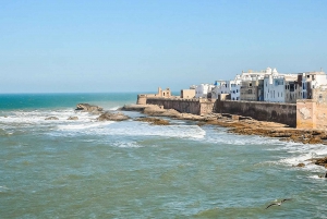 From Marrakech : Essaouira Day Trip with Optional Activities