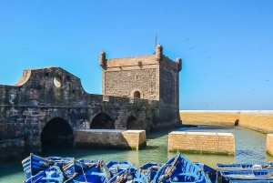 From Marrakech: Essaouira Full-Day Trip