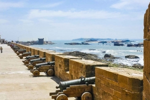 From Marrakech: Essaouira Full-Day Trip