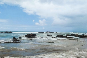 From Marrakech: Essaouira Full-Day Trip