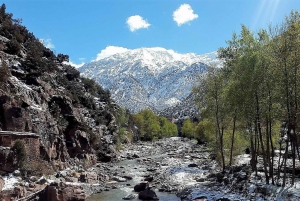 From Marrakech: High Atlas Mountains and 5 Valleys Day Trip