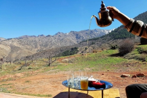 From Marrakech: High Atlas Mountains and 5 Valleys Day Trip