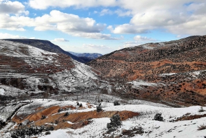 From Marrakech: High Atlas Mountains and 5 Valleys Day Trip