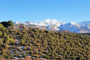 From Marrakech: High Atlas Mountains and 5 Valleys Day Trip