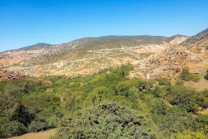 From Marrakech: High Atlas Mountains and 5 Valleys Day Trip