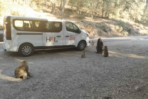 From Marrakech: Imperial Cities of Morocco 3-Day Tour