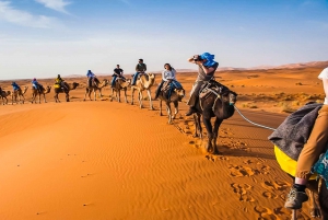 From Marrakech: Merzouga 3-Day Desert Safari with Food