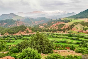 From Marrakech: Merzouga 3-Day Desert Safari with Food