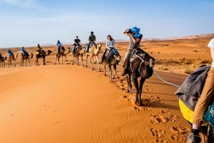 From Marrakech: Merzouga 3-Day Desert Safari with Food