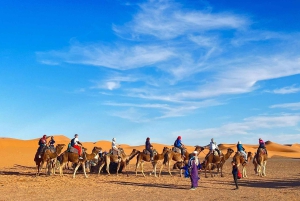 Fra Marrakech: Merzouga 3-dages ørkentur med luksuslejr