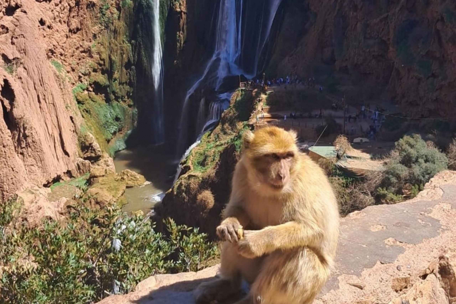 Au départ de Marrakech : excursion d'une journée aux cascades d'Ouzoud avec tour en bateau