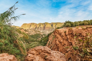 From Marrakech: Ouzoud Waterfalls Guided Hike and Boat Trip