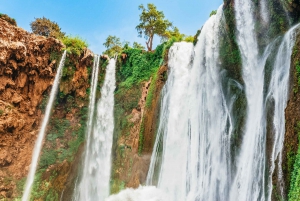 From Marrakech: Ouzoud Waterfalls Guided Hike and Boat Trip
