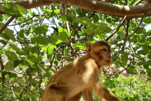 Из Марракеша: экскурсия с гидом к водопадам Узуд и прогулка на лодке