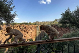 Marrakeshista: Ouzoudin vesiputoukset, veneretki ja lounas