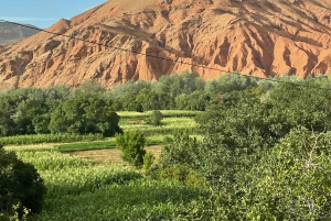 Da Marrakech: Tour privato di 3 giorni nel magico deserto di Merzouga