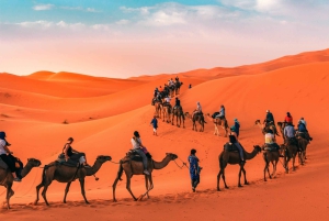 Da Marrakech: Tour privato di 3 giorni nel magico deserto di Merzouga