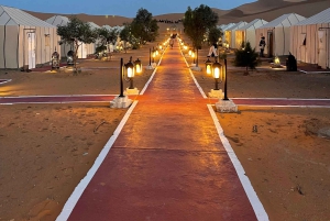 Из Марракеша: 3-дневный тур в Мерзугу с ужином