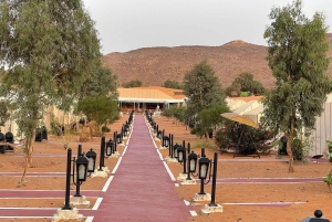 Из Марракеша: 3-дневный тур в Мерзугу с ужином