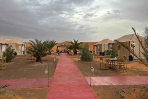 Из Марракеша: 3-дневный тур в Мерзугу с ужином