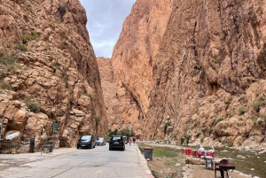 Из Марракеша: 3-дневный тур в Мерзугу с ужином