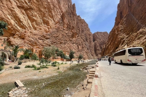 Из Марракеша: 3-дневный тур в Мерзугу с ужином