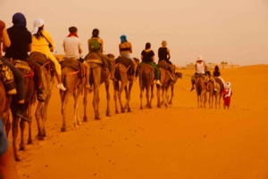 Из Марракеша: 3-дневный тур в Мерзугу с ужином