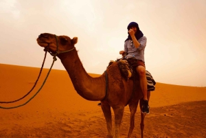 Из Марракеша: 3-дневный тур в Мерзугу с ужином