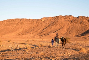 From Marrakech: Zagora 2-Day Desert Safari with Food & Camp