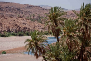 From Marrakesh: 4-Day Private Atlas Mountains & Desert Tour