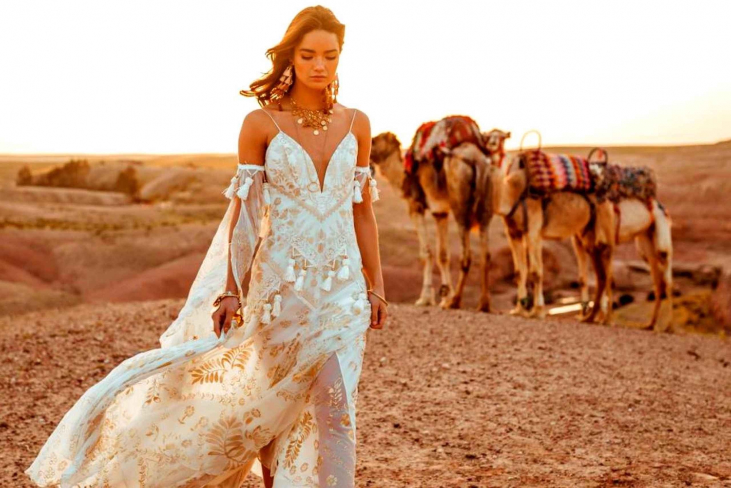 マラケシュ発 アガファイ砂漠ディナー＆サンセット、ラクダ乗り