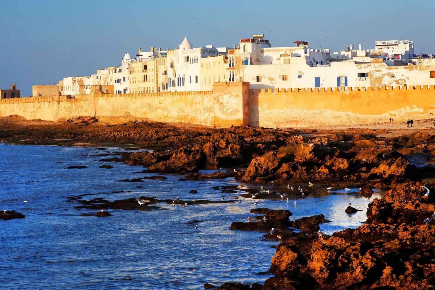 Marraquexe: Viagem de um dia a Essaouira e Sekkala com atividades