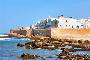 From Marrakesh: Essaouira Full-Day Trip