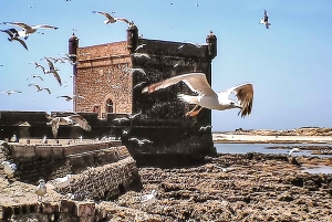 From Marrakesh: Essaouira Full-Day Trip