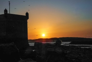 From Marrakesh: Essaouira Full-Day Trip