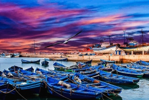 From Marrakesh: Essaouira Full-Day Trip