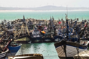 From Marrakesh: Essaouira Full-Day Trip