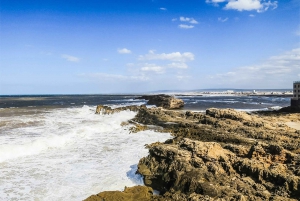 From Marrakesh: Essaouira Full-Day Trip